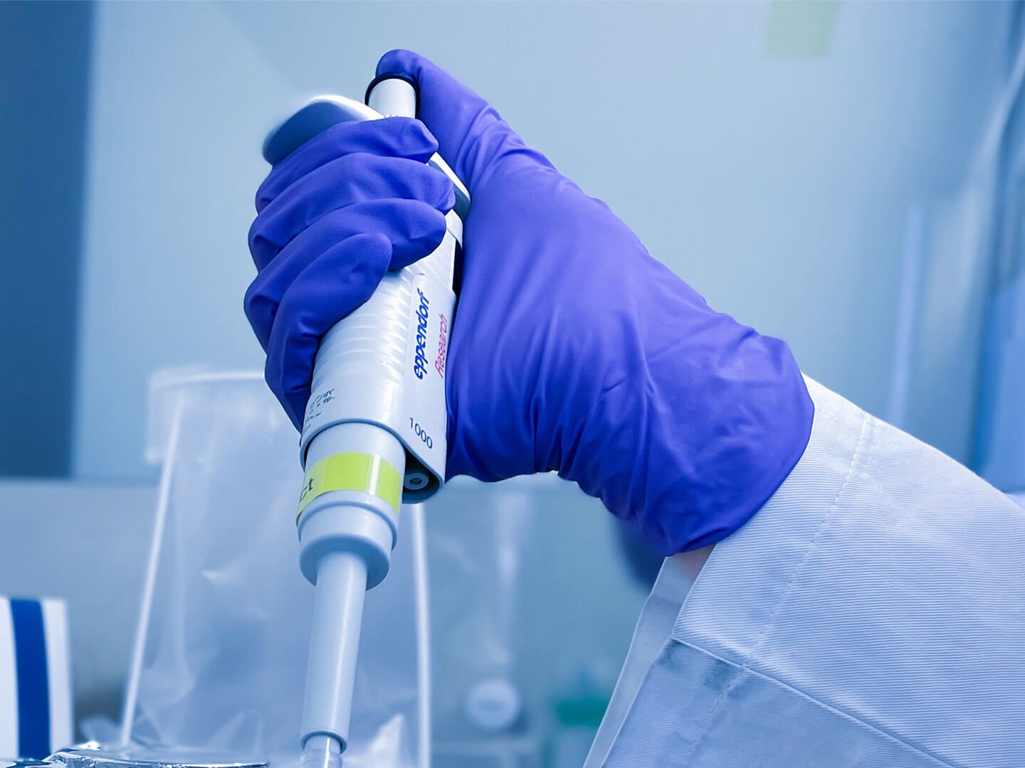 260220_CERTANIA_GBD_Website_Glove02 260220_CERTANIA_GBD_Website_Glove02