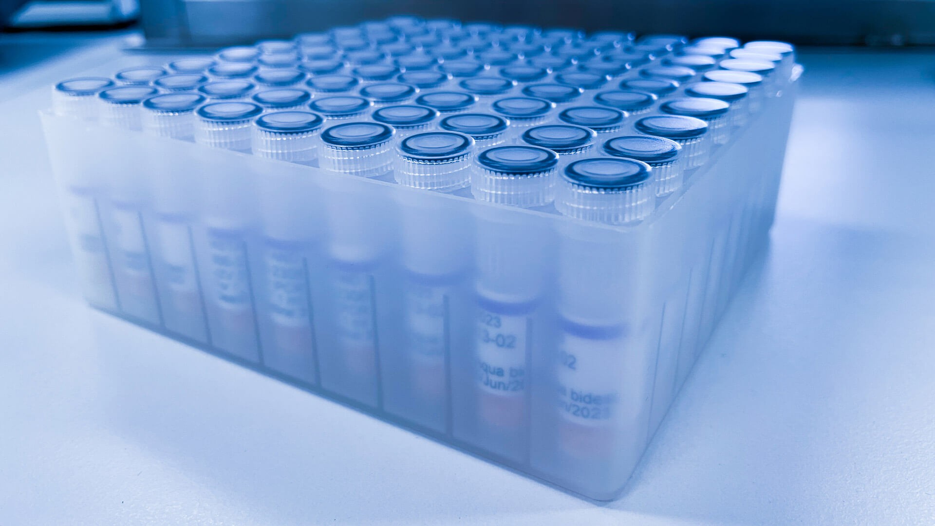 260220_CERTANIA_GBD_Website_MultipleTestingTubes 260220_CERTANIA_GBD_Website_MultipleTestingTubes