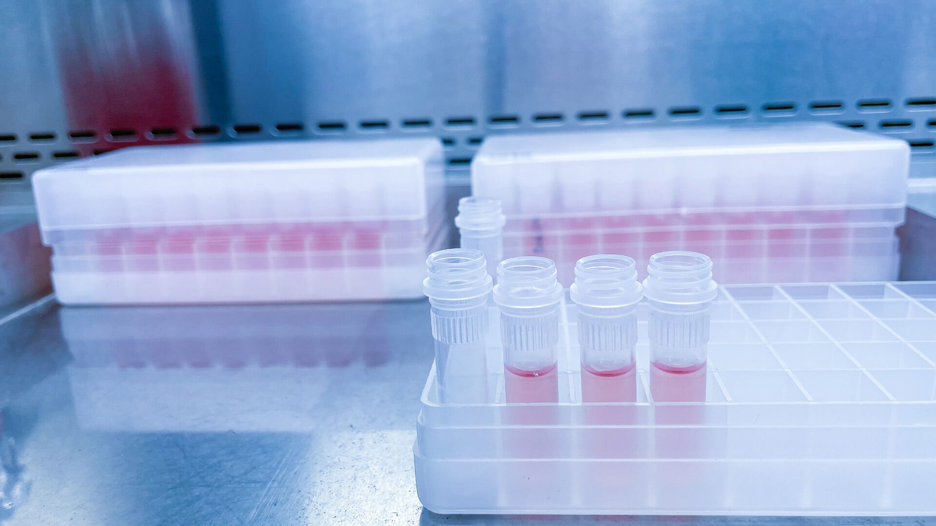 260220_CERTANIA_GBD_Website_TestingTubesPink