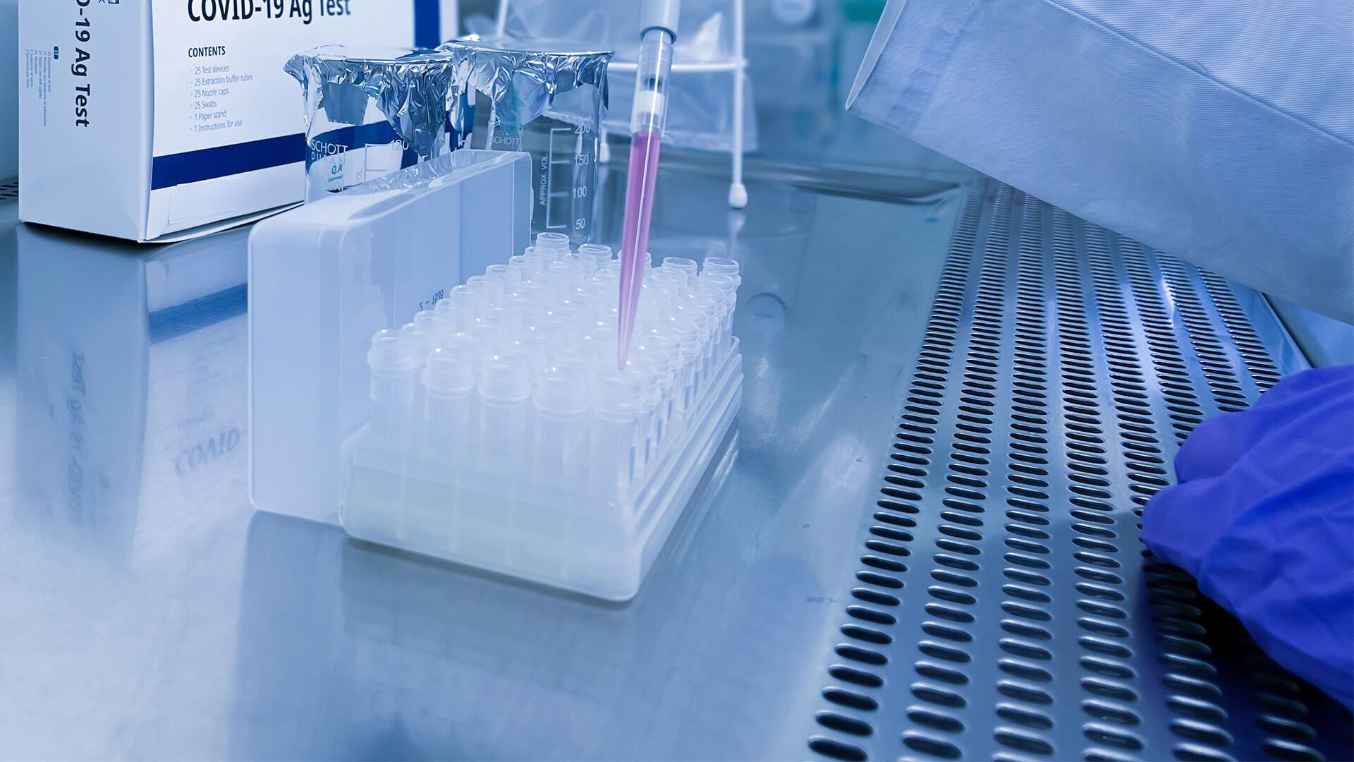 260220_CERTANIA_GBD_Website_PipettePink01 260220_CERTANIA_GBD_Website_PipettePink01